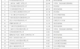 我国区块链公司有哪些,探究职业领军者与潜力企业