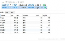 数据库查询年纪,SQL根底查询