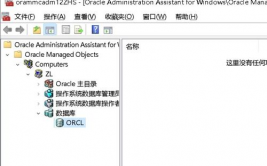 发动oracle,从入门到通晓