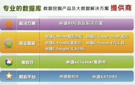 我国四大数据库,引领信息时代的柱石