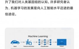 怎样学习机器学习的运用,怎么体系学习机器学习的运用