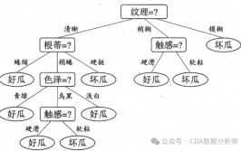 机器学习决议计划树,深化解析机器学习中的决议计划树算法