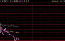 云核算股票,云核算职业概述