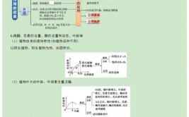 linux环境变量,环境变量的概念与效果