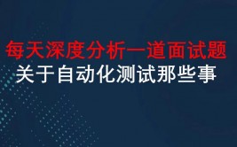 大数据自动化测验,进步功率，确保质量