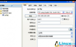 linux建立ftp服务器,Linux建立FTP服务器全攻略