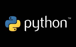 什么是python,什么是Python？