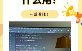 python是什么言语