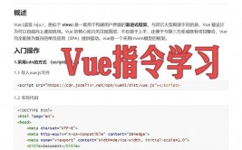 vue 自界说特点, 什么是Vue自界说特点？