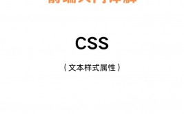 css设置字体,css设置字体款式