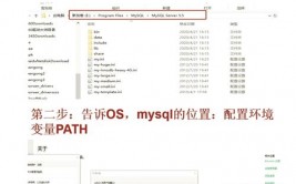 mysql怎样设置中文,MySQL设置中文环境详解