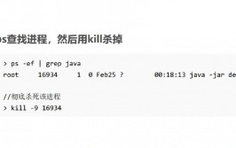 linux完毕进程指令,kill指令