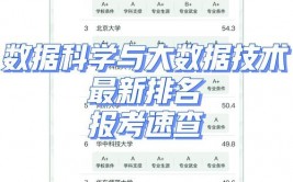 北京大学大数据,引领未来数据科学人才培育的摇篮