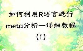 r言语官网,数据剖析与计算建模的强壮东西