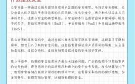 云核算安全问题,云核算安全问题概述