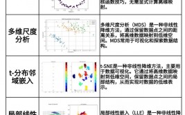 机器学习降维,原理与运用