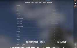 cs go怎样语音,CS:GO语音设置详解