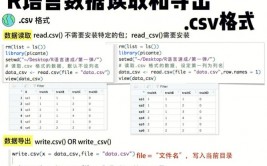 r言语导出数据,办法与技巧详解