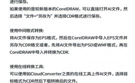 cdr转ai,轻松完结文件格局的转化与兼容性进步