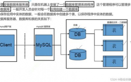 数据库的建立,从零开始构建高效数据存储体系