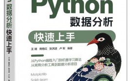 python开源网站源码,探究与使用