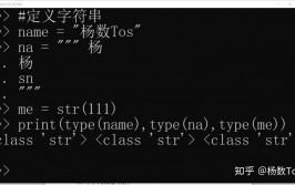 python中str是什么意思,什么是Python中的str？