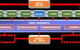 区块链技能事例,区块链技能在供应链办理中的运用事例