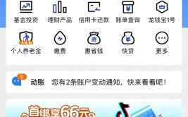 怎么查网贷大数据,怎么查询网贷大数据？全面攻略