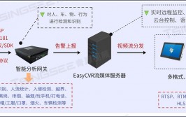 大数据实战项目,构建智能交通管理体系