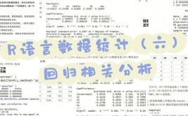 r言语社区,技术沟通与资源共享的盛宴