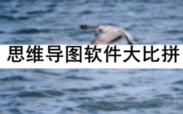 linux运用商铺,什么是Linux运用商铺？