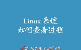 linux标志,Linux 进程办理 体系编程 进程标志