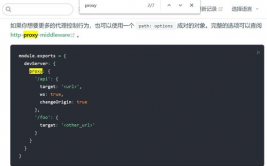 vue反向署理,Vue项目中的反向署理装备详解