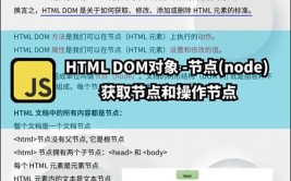 vue操作dom,深化了解与高效实践