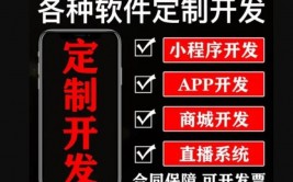 深圳手机app软件开发,立异驱动，引领未来