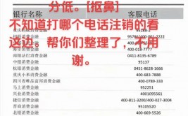 网贷大数据修正,揭秘信誉重建之路