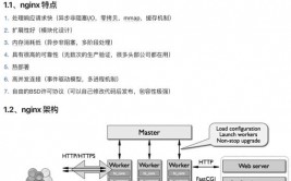 linux检查nginx途径,Linux体系下检查Nginx装置途径的多种办法