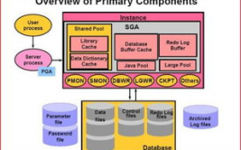 oracle什么意思,从古希腊神谕到现代技能巨子