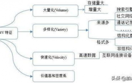 大数据的特征不包含什么,大数据的四个主要特征