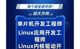 嵌入式体系开发与使用,技能革新与工业革新