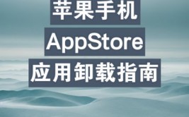 苹果手机信赖开发者在哪里设置,轻松解锁非App Store运用