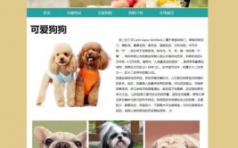 html5源码,```htmlHTML5 页面示例