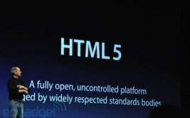 html5的新特性,二、多媒体支撑，无需插件即可播映