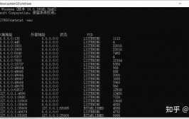 linux怎么检查端口是否被占用, 运用`netstat`指令检查端口占用状况