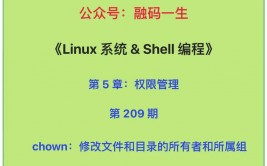 linux修正文件所属用户和组, 什么是文件一切者和所属组