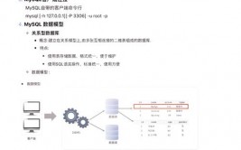 数据库刺进字段,深化解析数据库刺进字段操作