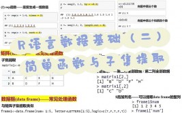 r言语sample,简略抽样与杂乱运用