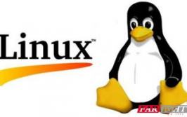 linux可以做什么,强壮的开源操作体系，无限或许的运用场景