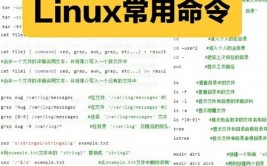 linux文件类型,Linux文件类型概述