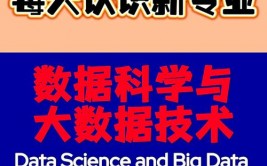 数据科学与大数据技能导论,数据科学与大数据技能导论1500字心得